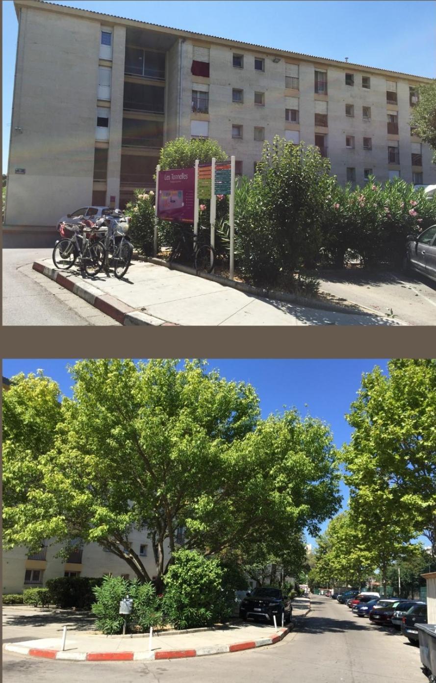 Studio 50M Tram Parking Gratuit 13Min Gare Montpellier Zewnętrze zdjęcie